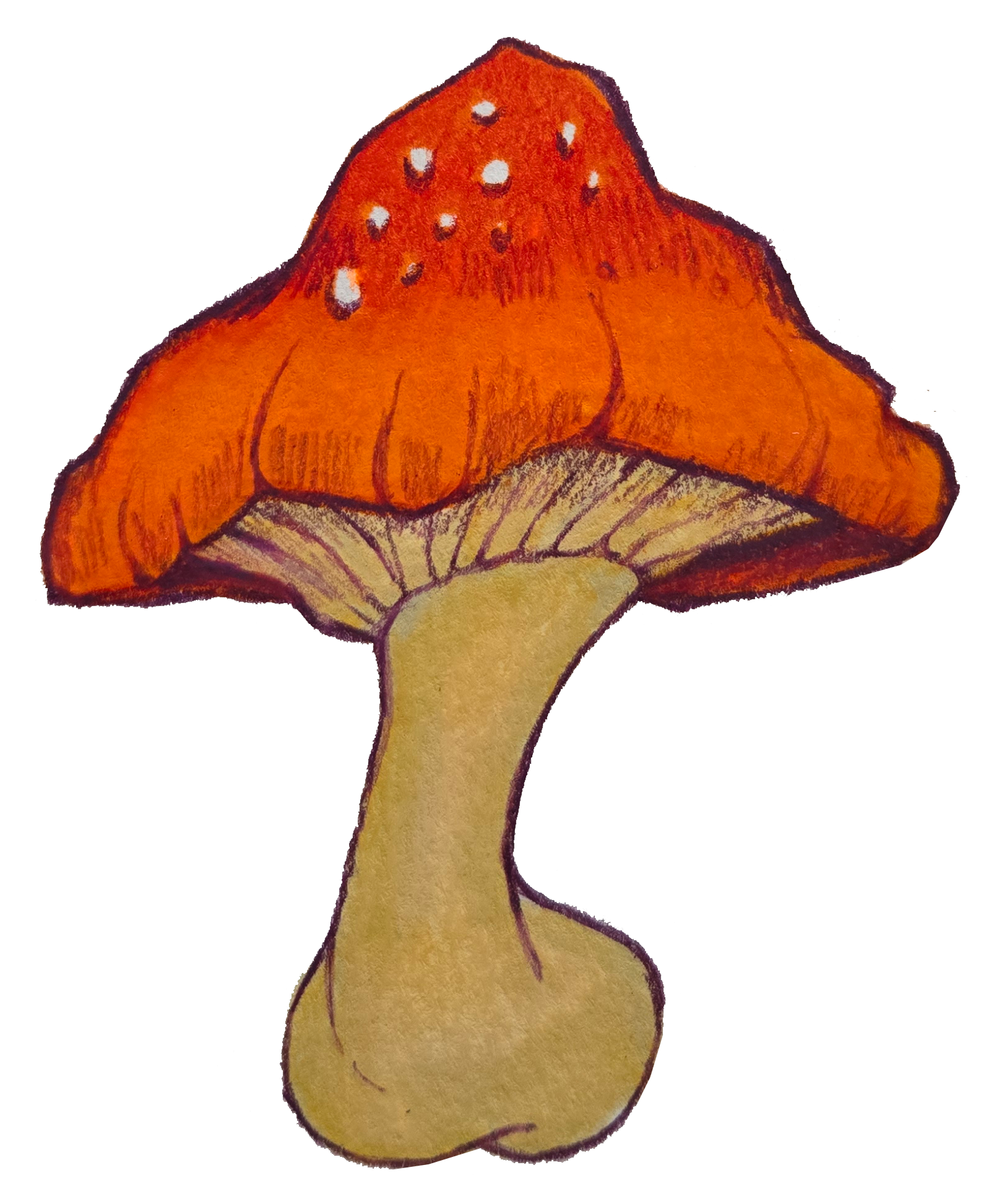 Mushroom