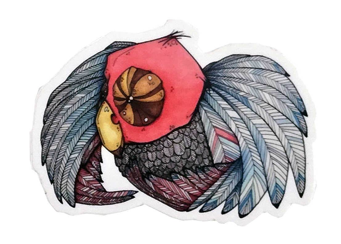Pink Owl