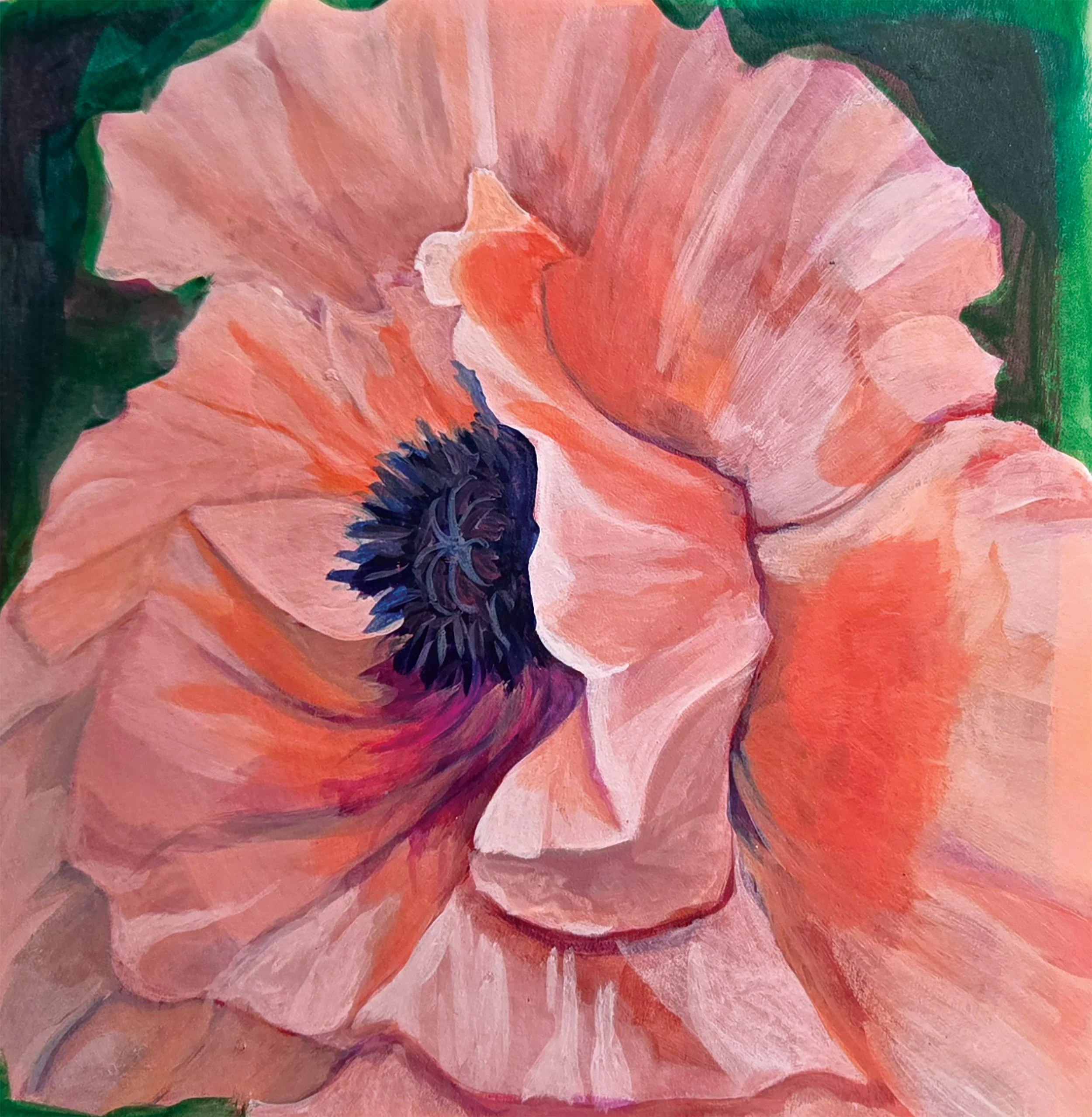 Pink Peony