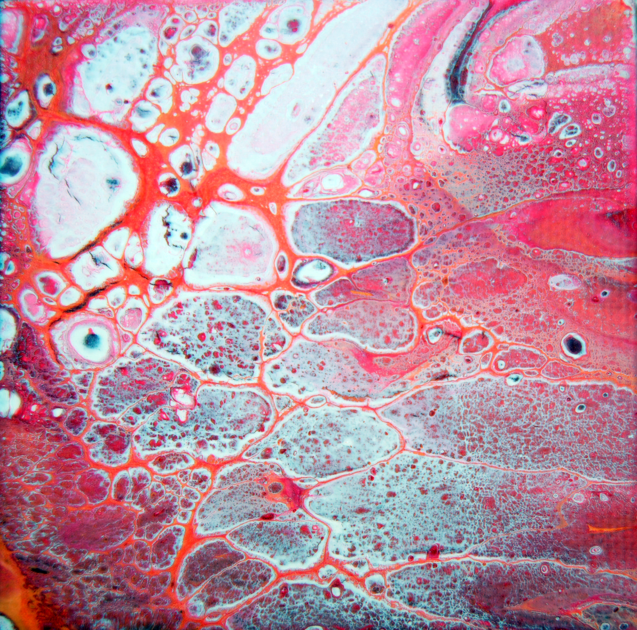 Close-up of a colorful microscopic image of human tissue stained with histological dyes, showing intricate cellular structures and tissue organization.