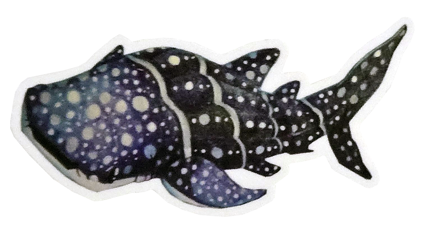 Whale Shark