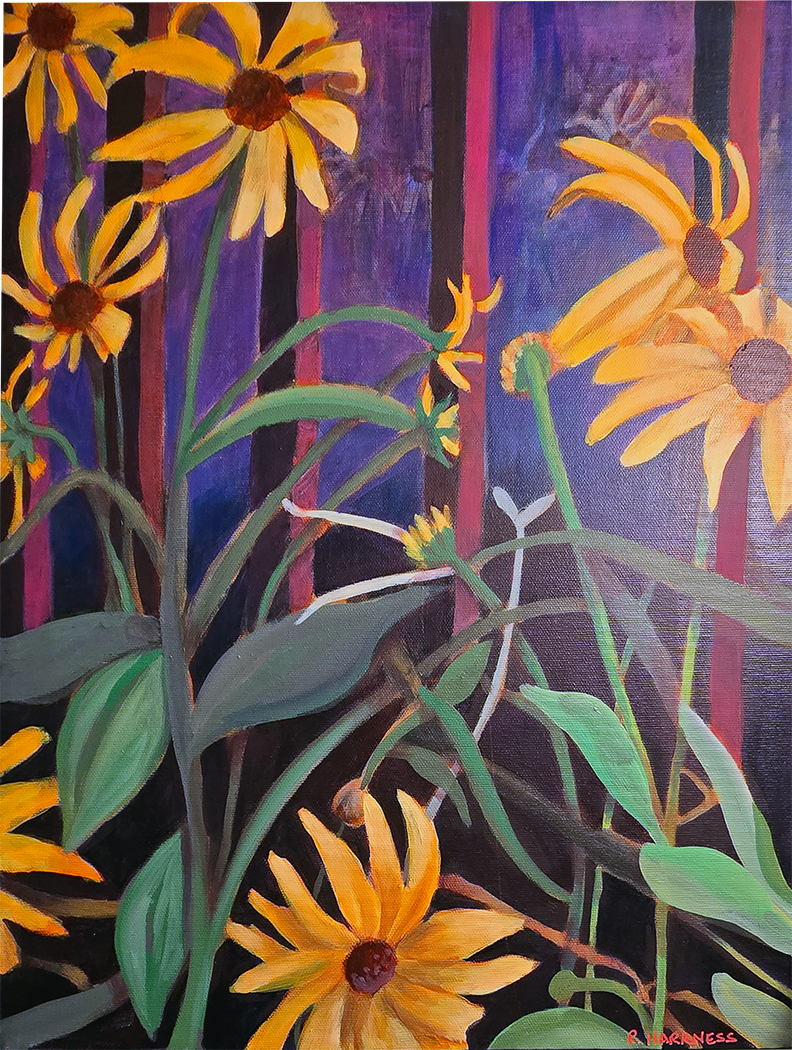 Purple Sky Daisies