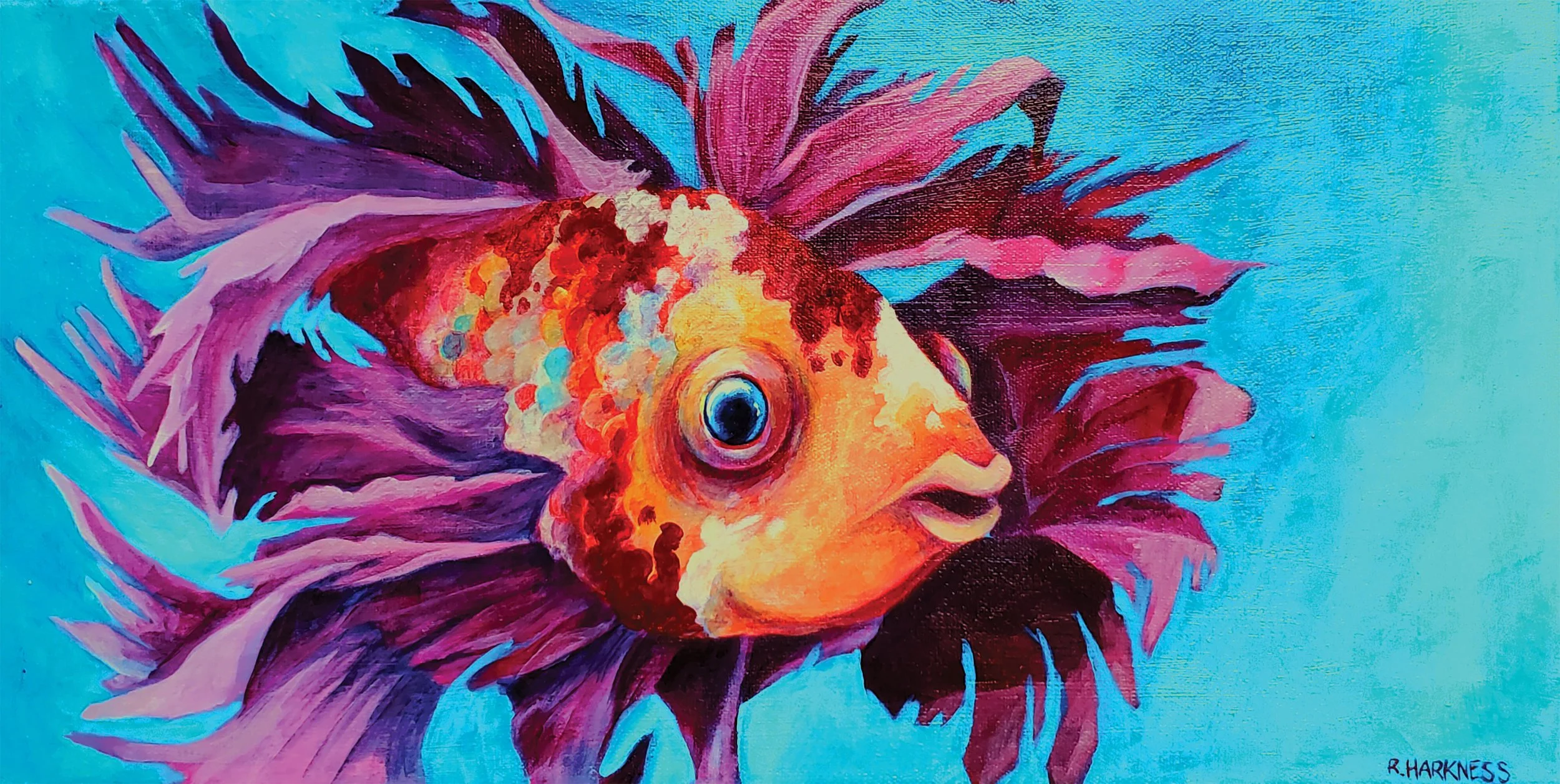 Lion Fish