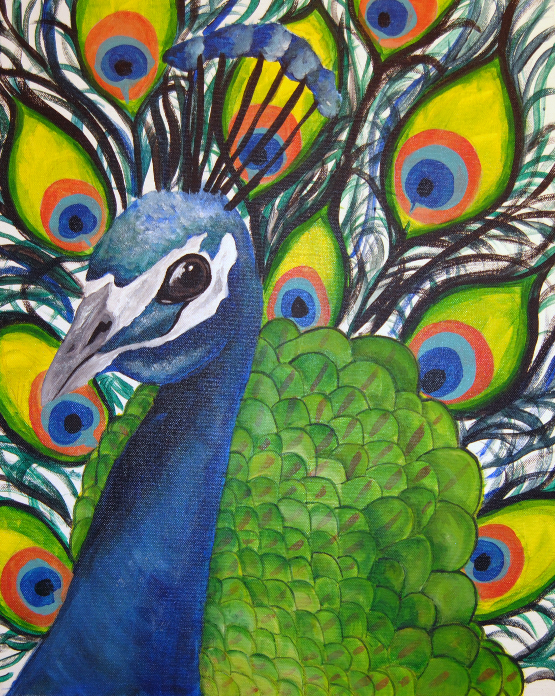Peacock
