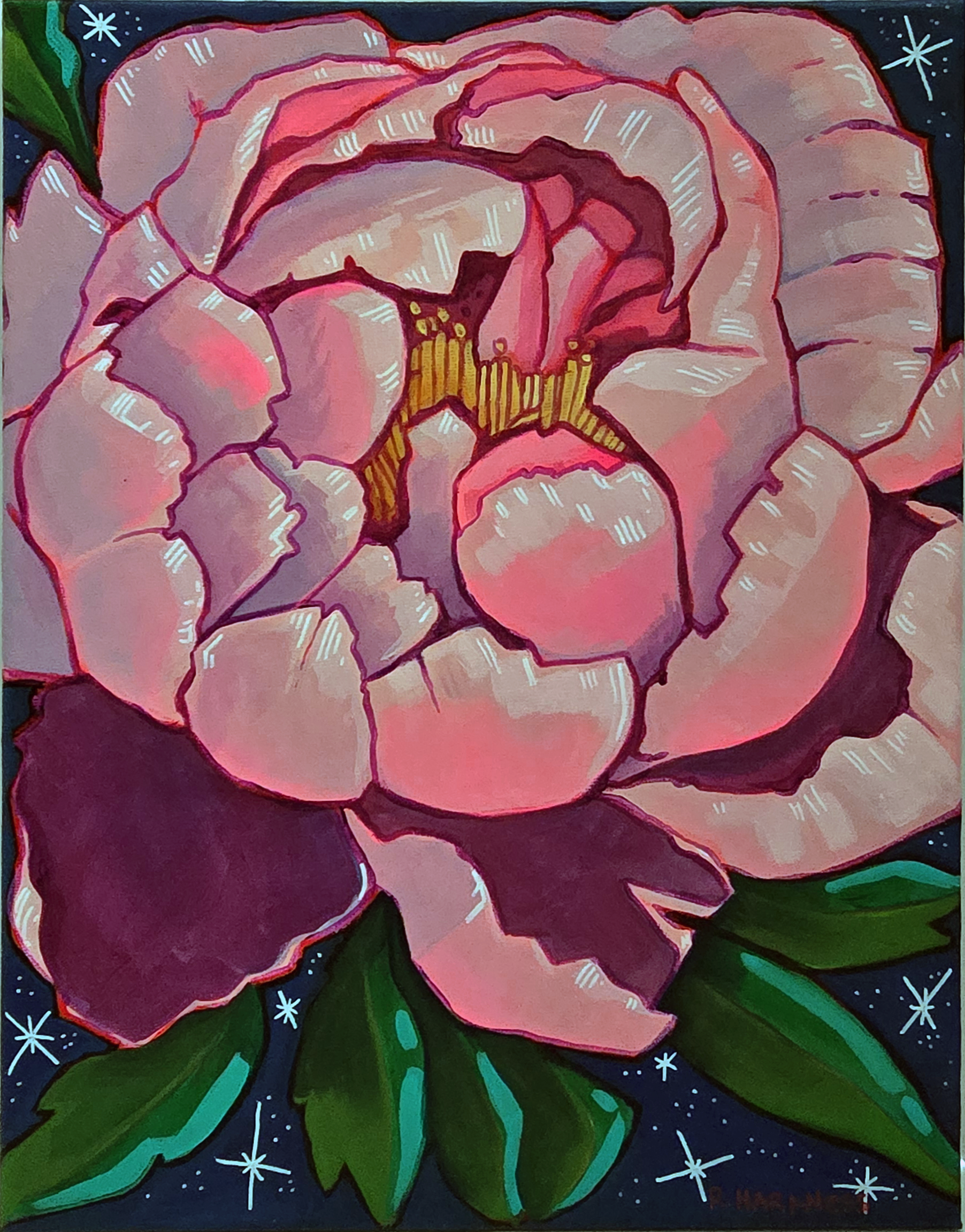 Night Peony