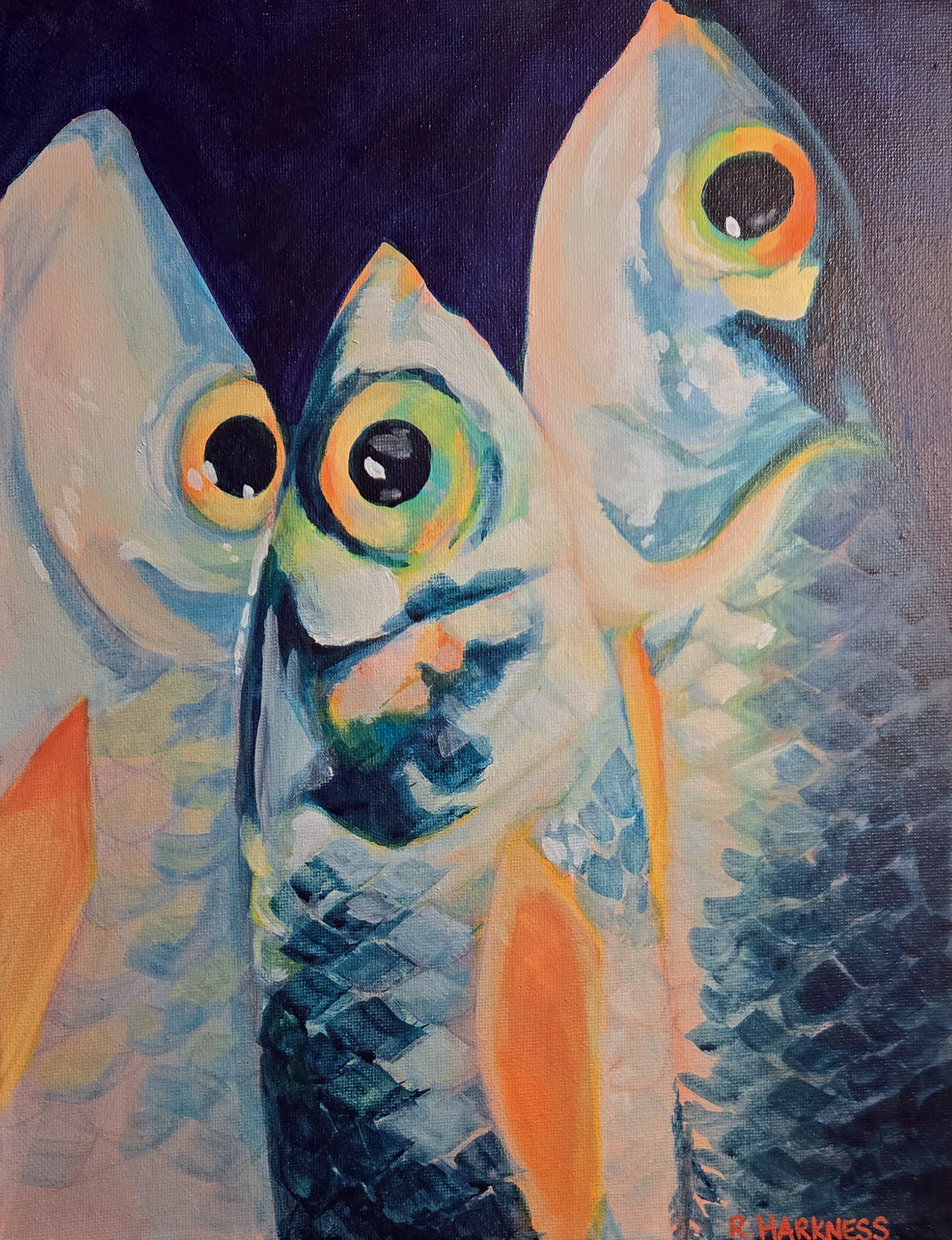 Sardines