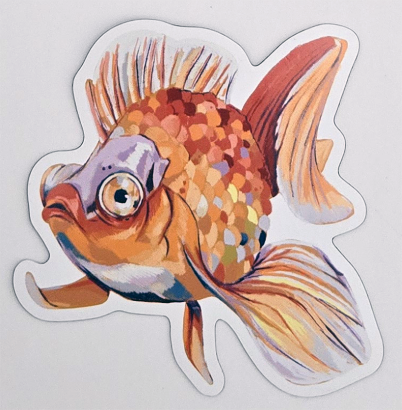 Rainbow Fish