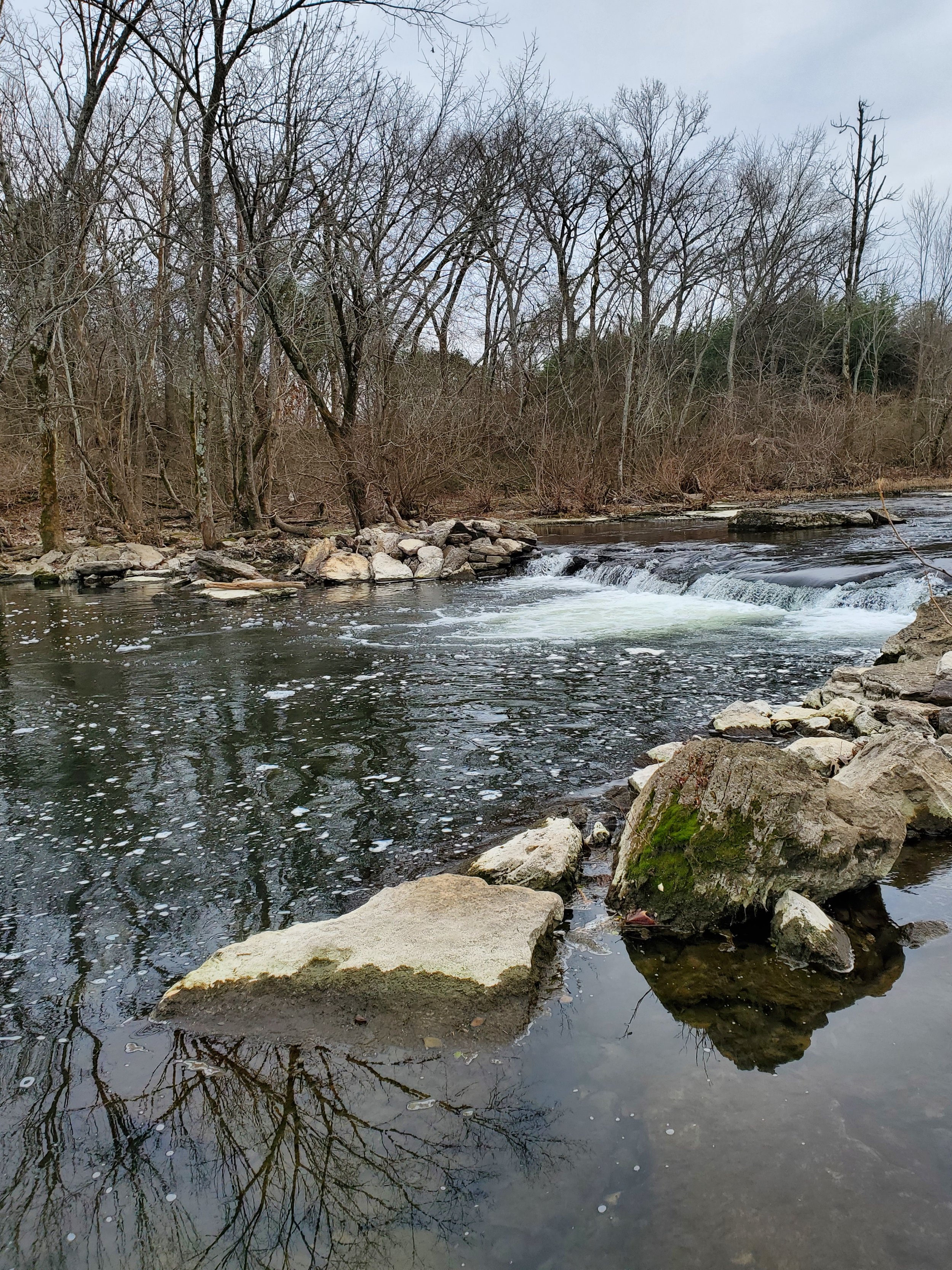 A river flowing through a wooded area with leafless trees and rocks along the shoreline, overcast sky.