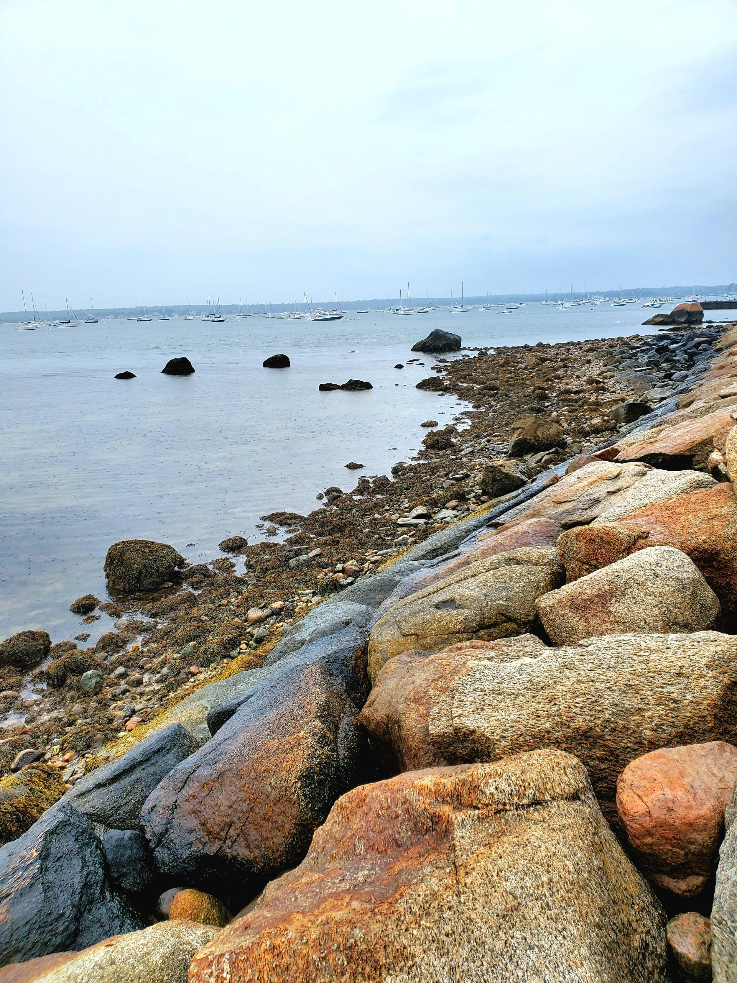 Rocky shoreline with large stones in the foreground and a calm body of water with numerous sailboats anchored in the distance under a cloudy sky.