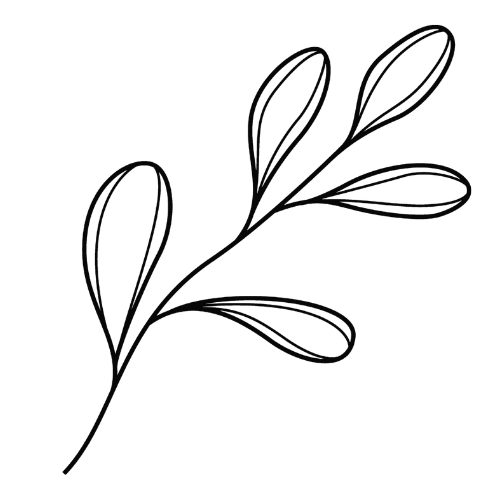Marketing Strategy Icon