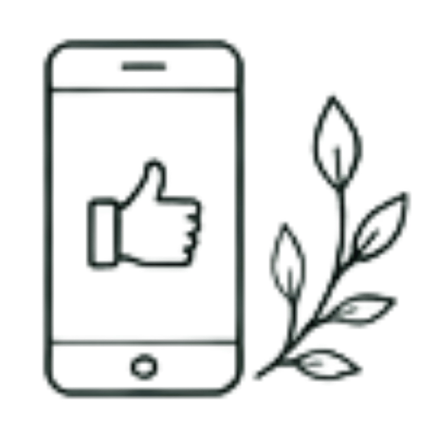 social media management
