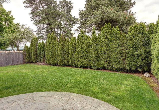 Backyard at 15640 SW Royalty Pkwy in King City, Oregon