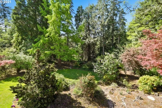 Backyard at 920 SW Maplecrest Ct in Portland, Oregon