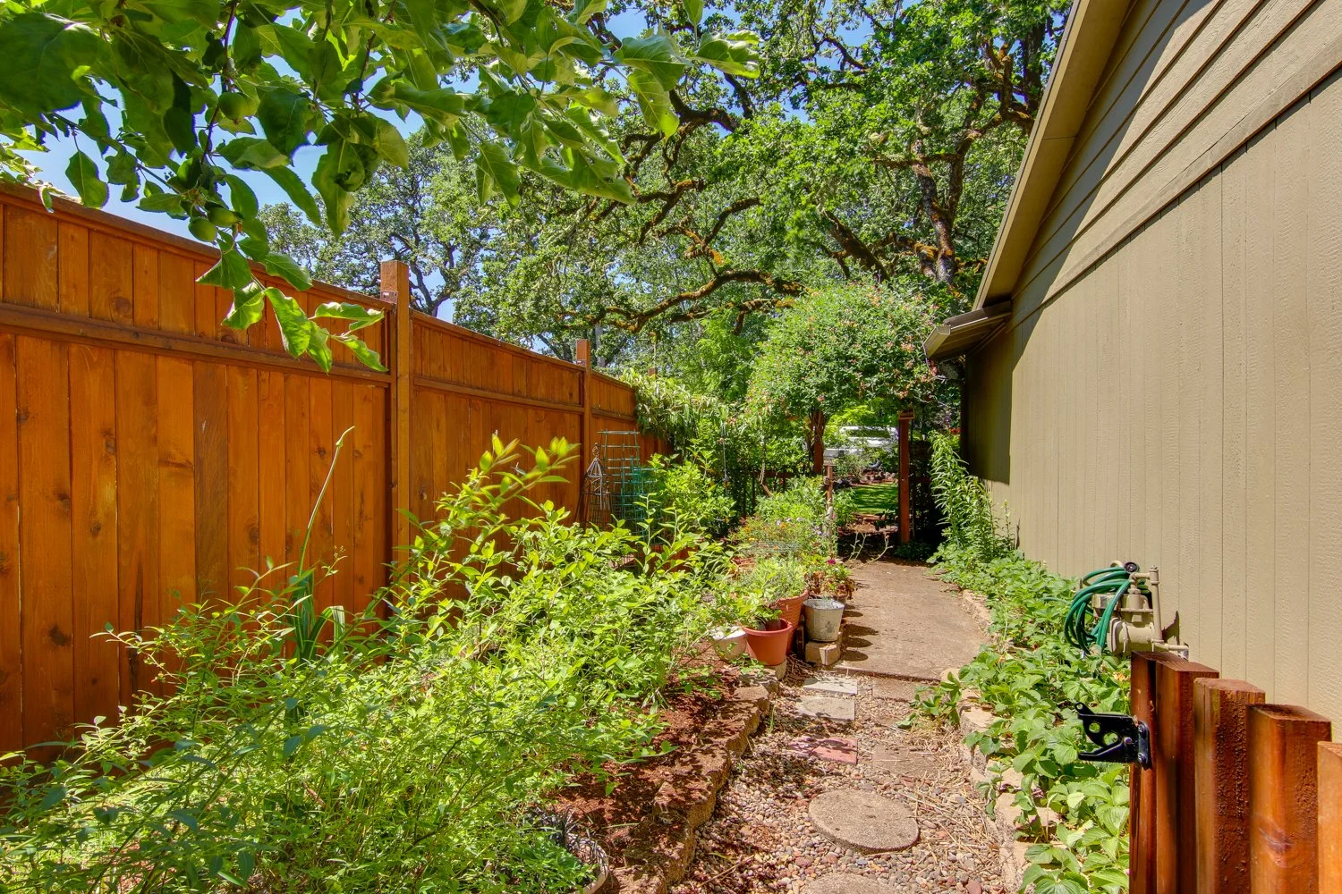 Backyard at 307 Tasman Pl in Philomath, Oregon