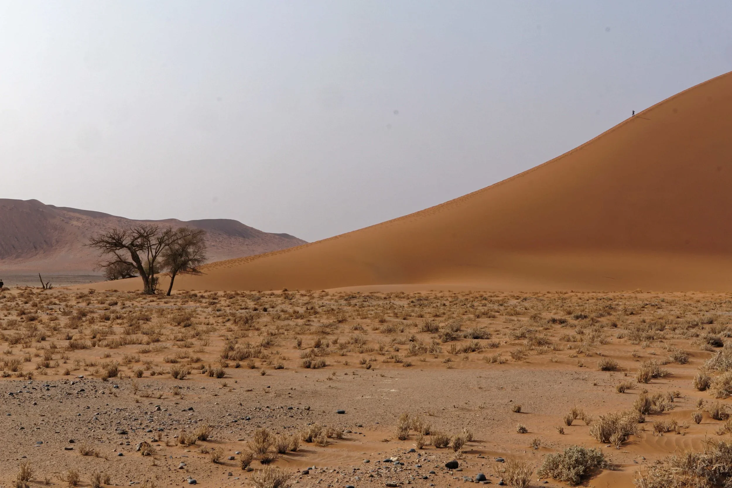 Sossusvlei's Sand Dunes