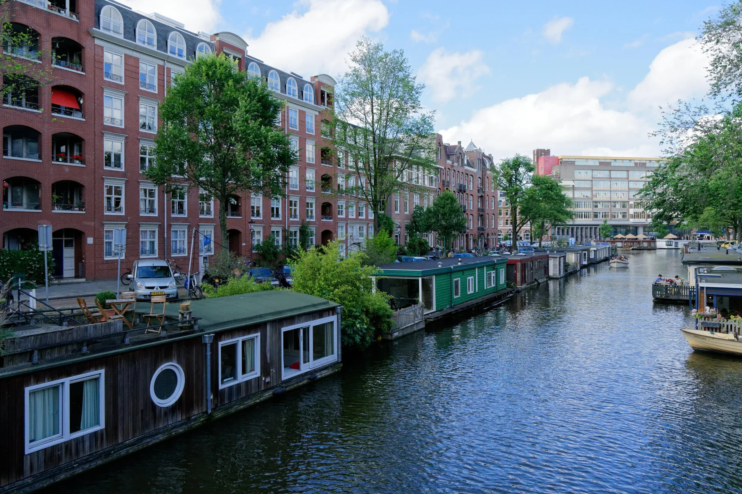 Goldfinches in Amsterdam