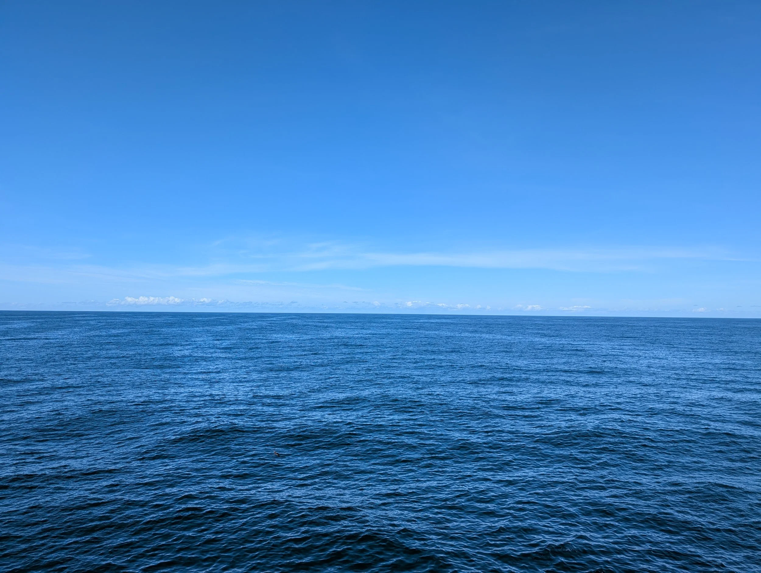 PXL_20251124_174713797.jpg