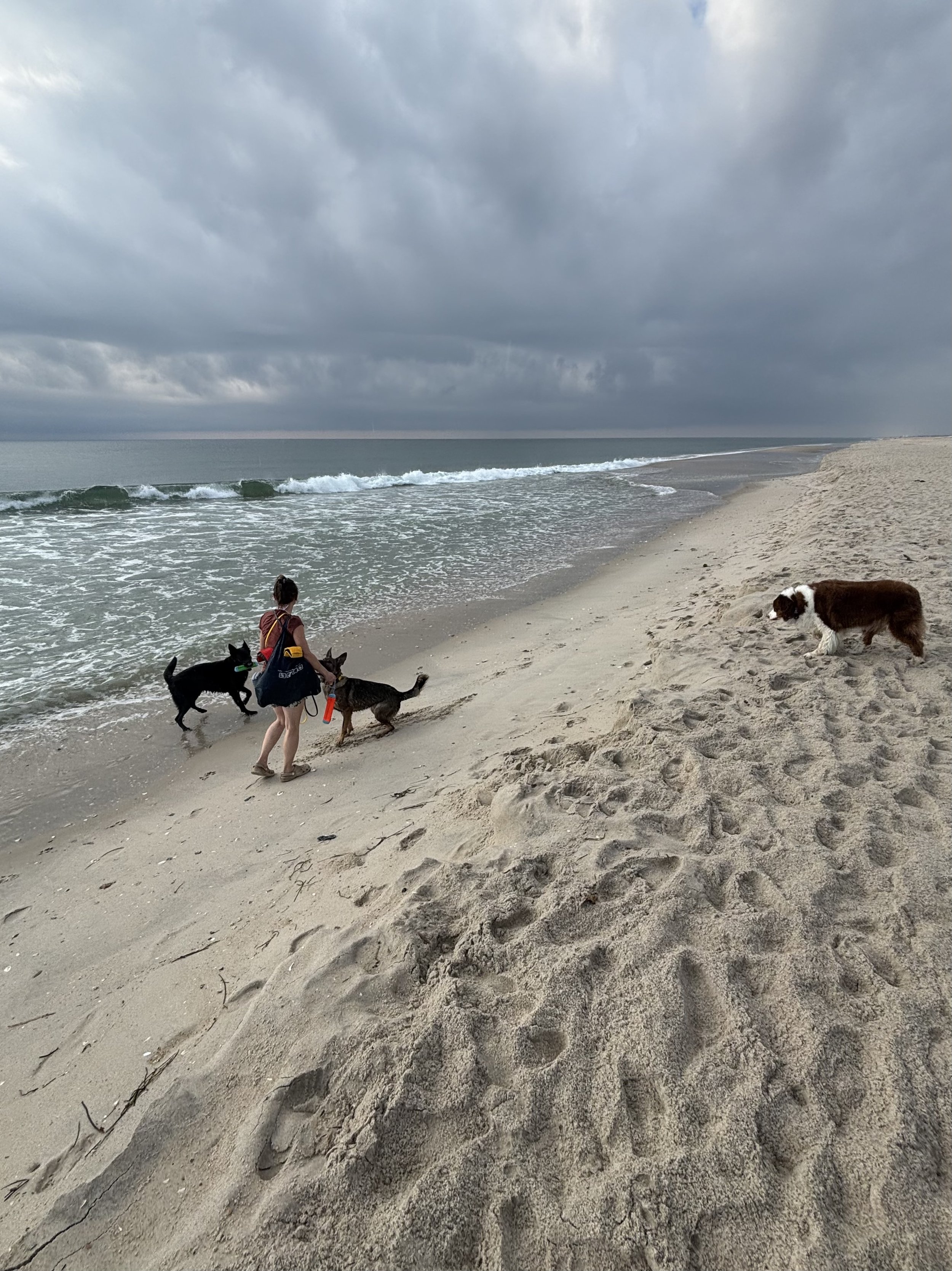 A woman with a backpack and a red leash, along with three dogs, are walking on a sandy beach near the ocean under a cloudy sky.