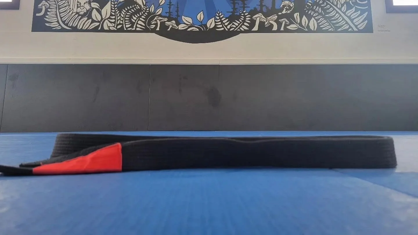 A close-up view of a black belt with a red locking mechanism placed on a blue mat, with a dark grey wall and a decorative wall art in the background.
