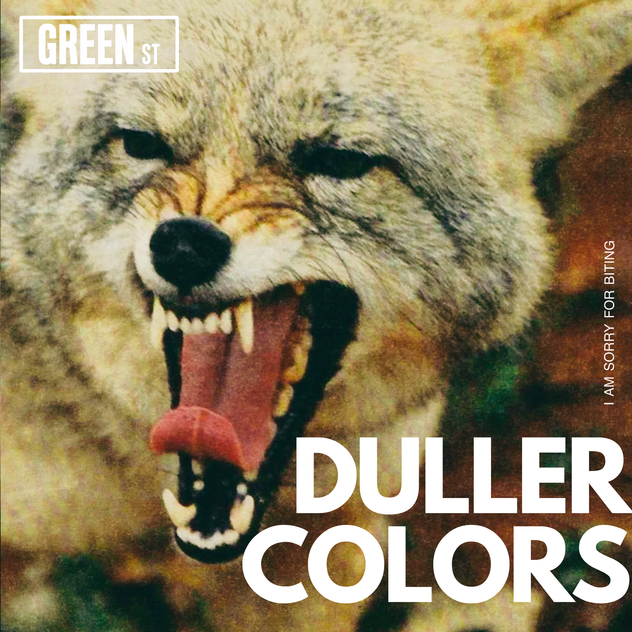 Duller Colors - I'm Sorry For Biting (RELEASE SOON)