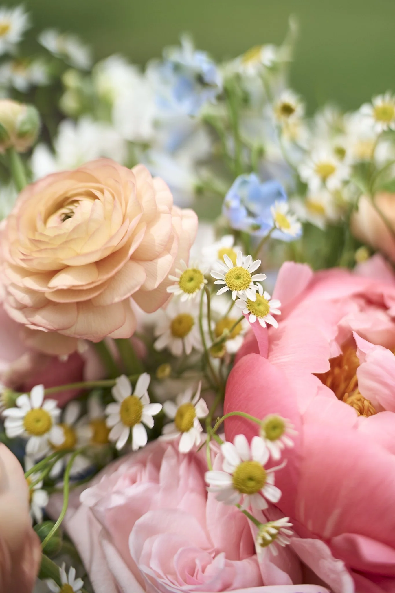 Close-up of a bouquet of pink roses, white daisies, and blue and white flowers with green background.