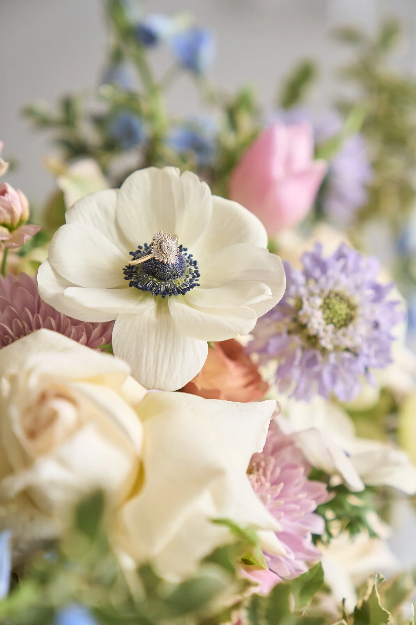 Close-up of a white flower with a ring placed on its center, surrounded by colorful blurry flowers in the background.