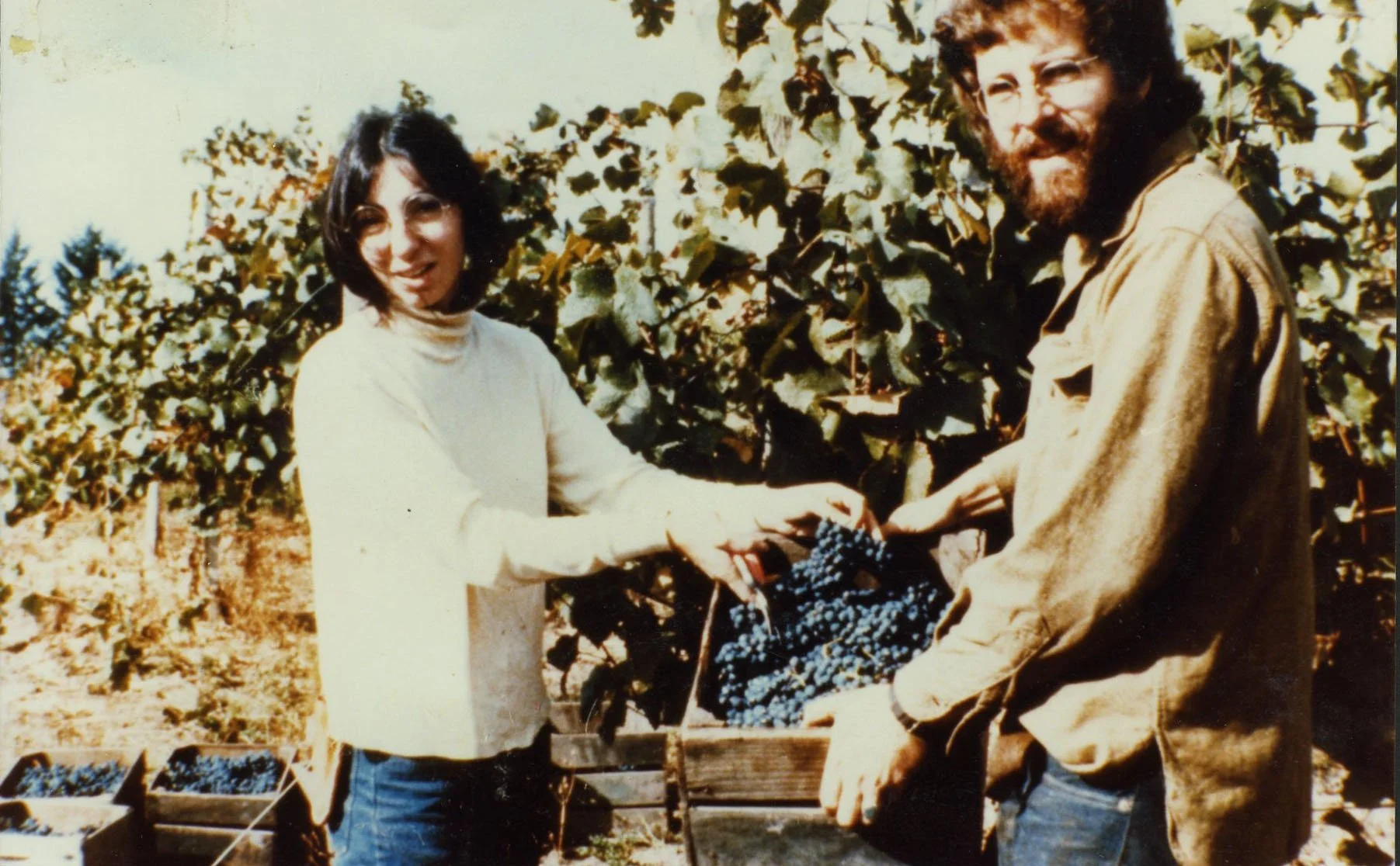 Myron Redford (right) learned wine making in the 1970s. Myron and partner Janis Checcia (left) moved to Amity in 1974 and purchased an existing winery. In 1980, Amity Vineyards won the first of many awards for their Pinot Noirs.
