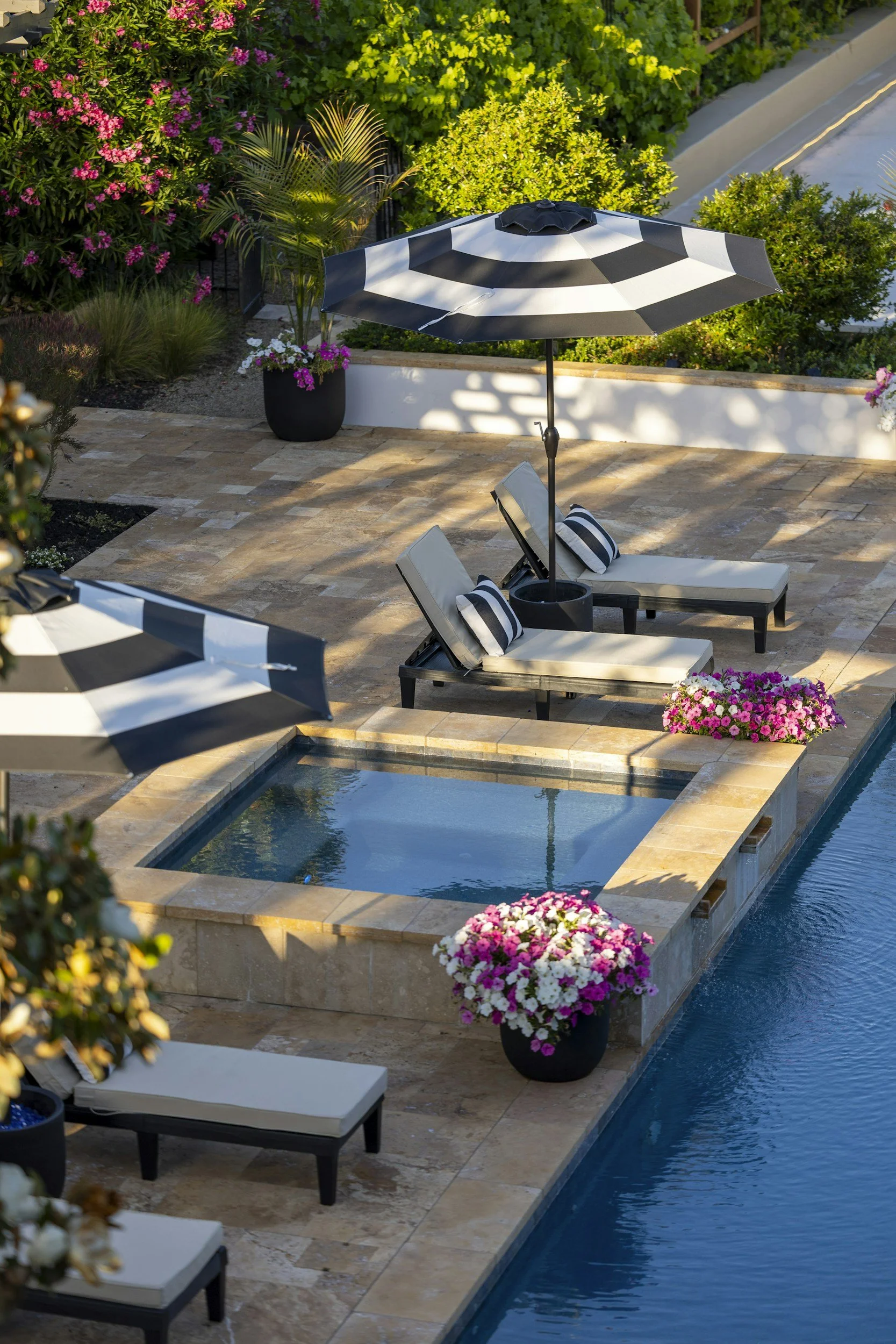 A backyard with a pool, outdoor lounge chairs with striped cushions, large black and white striped umbrellas, potted pink and white flowers, lush green bushes, and a stone patio.