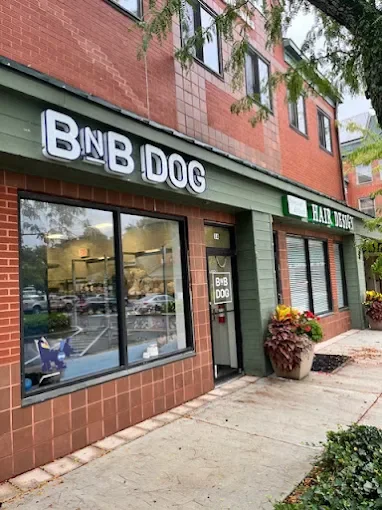 Exterior of a storefront with a sign that says 'BNB DOG'