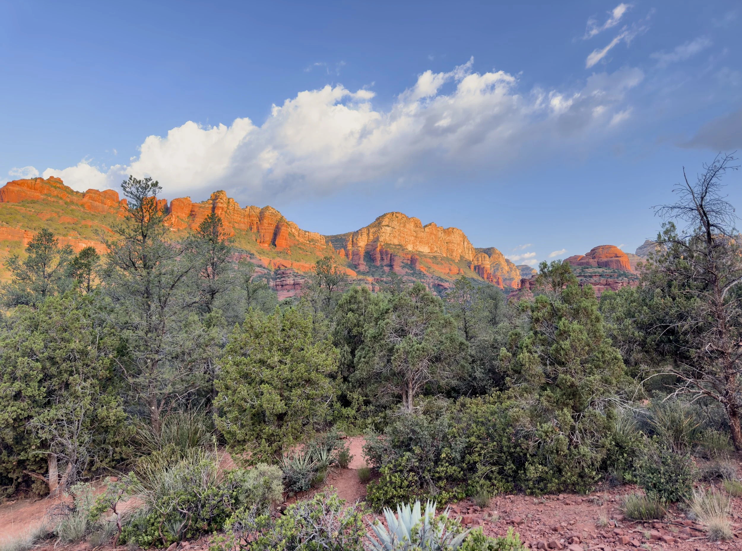 Sedona.jpeg