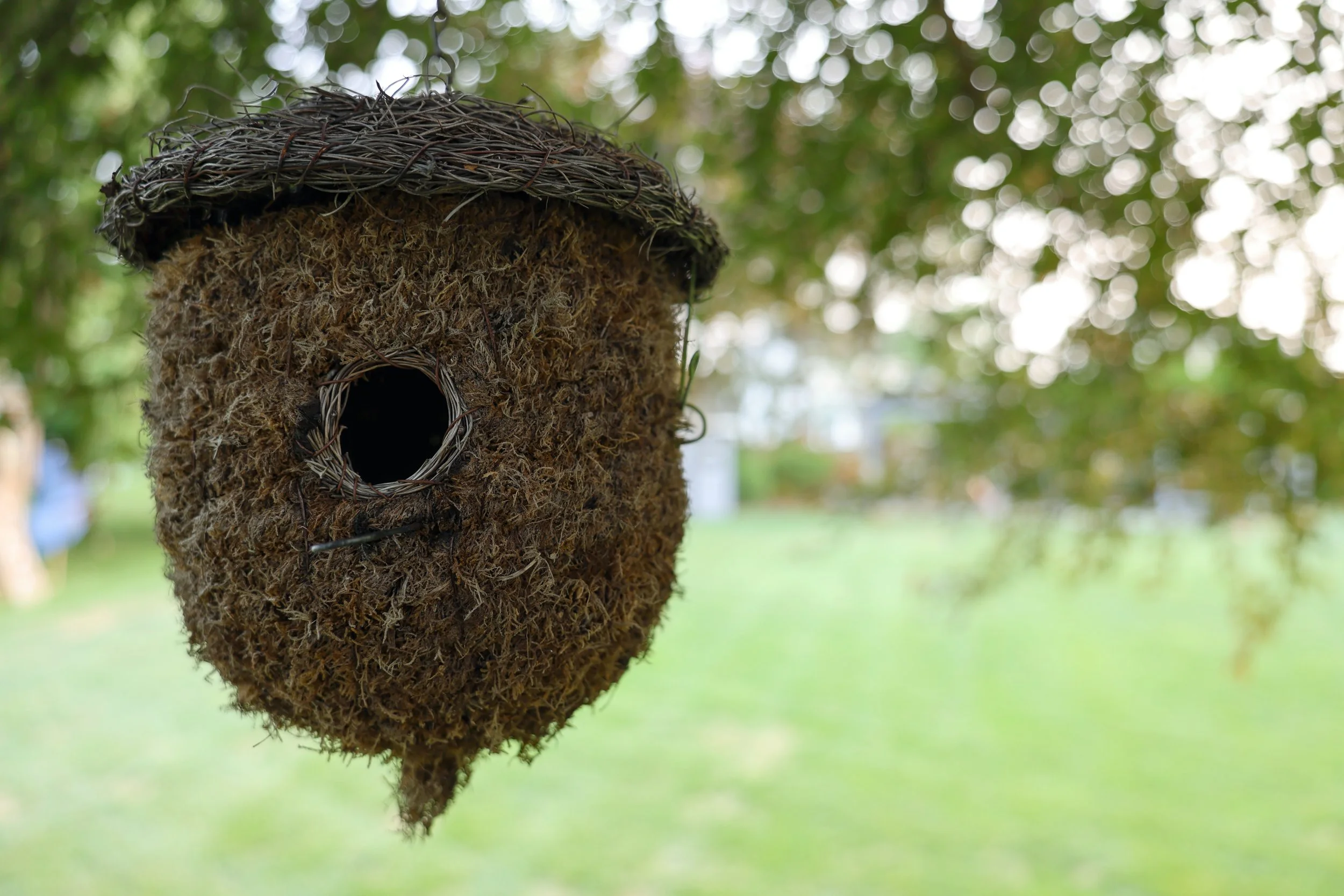 Birdfeeder.JPG