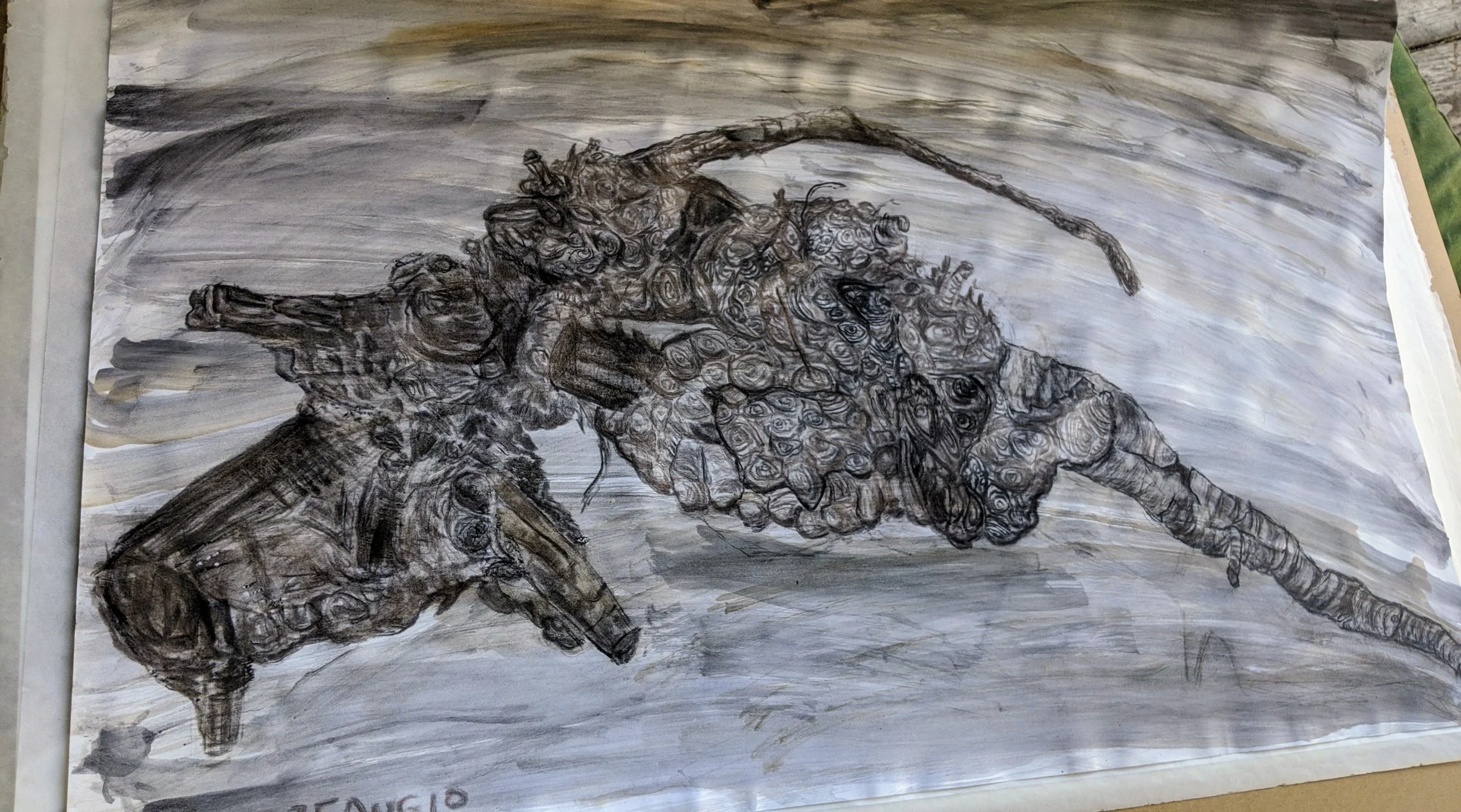 A black and white drawing of decomposed wood using charcoal from the Vision Fire, Inverness, California.