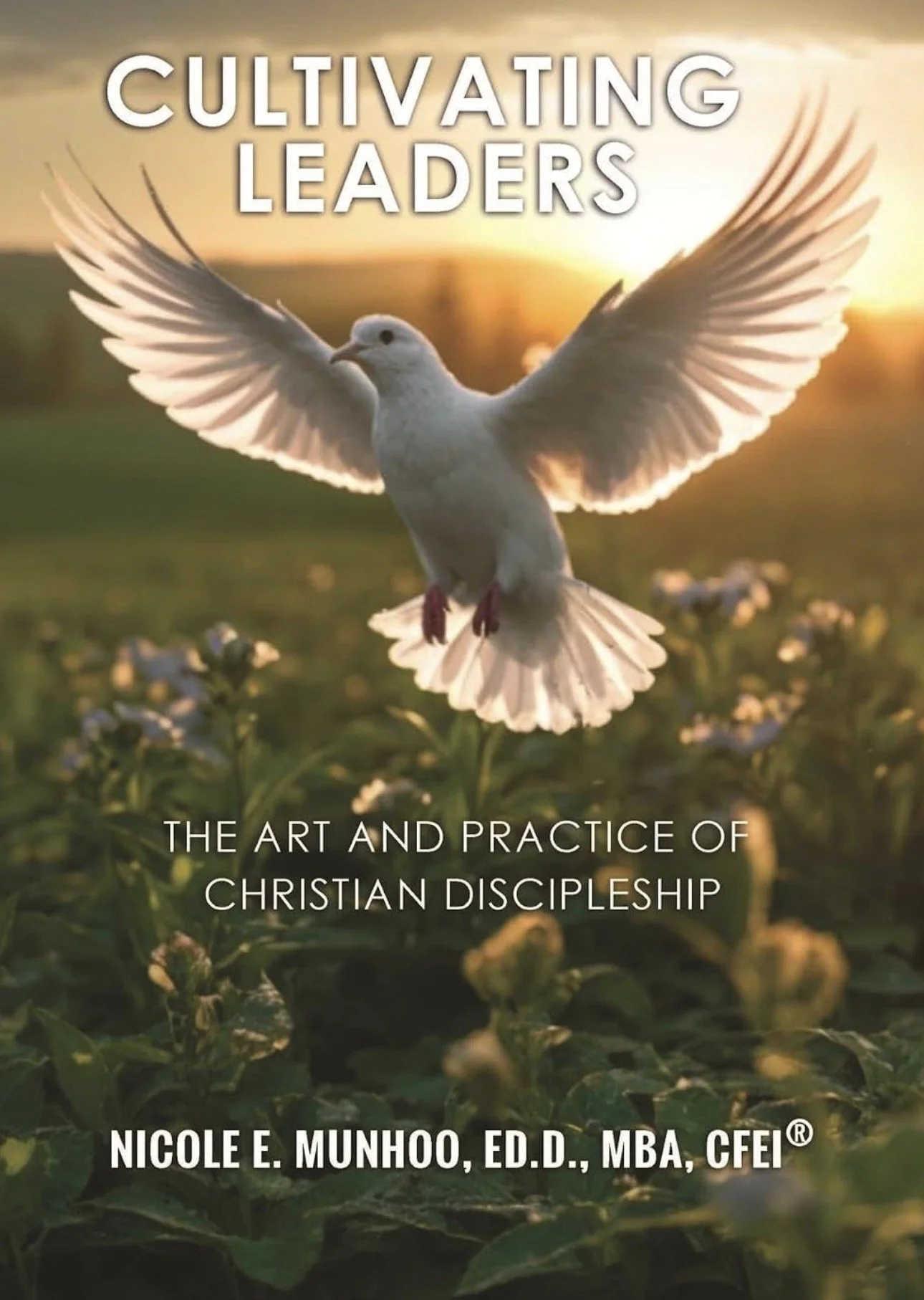 Cultivating Leaders: The Art And Practice Of Christian Discipleship