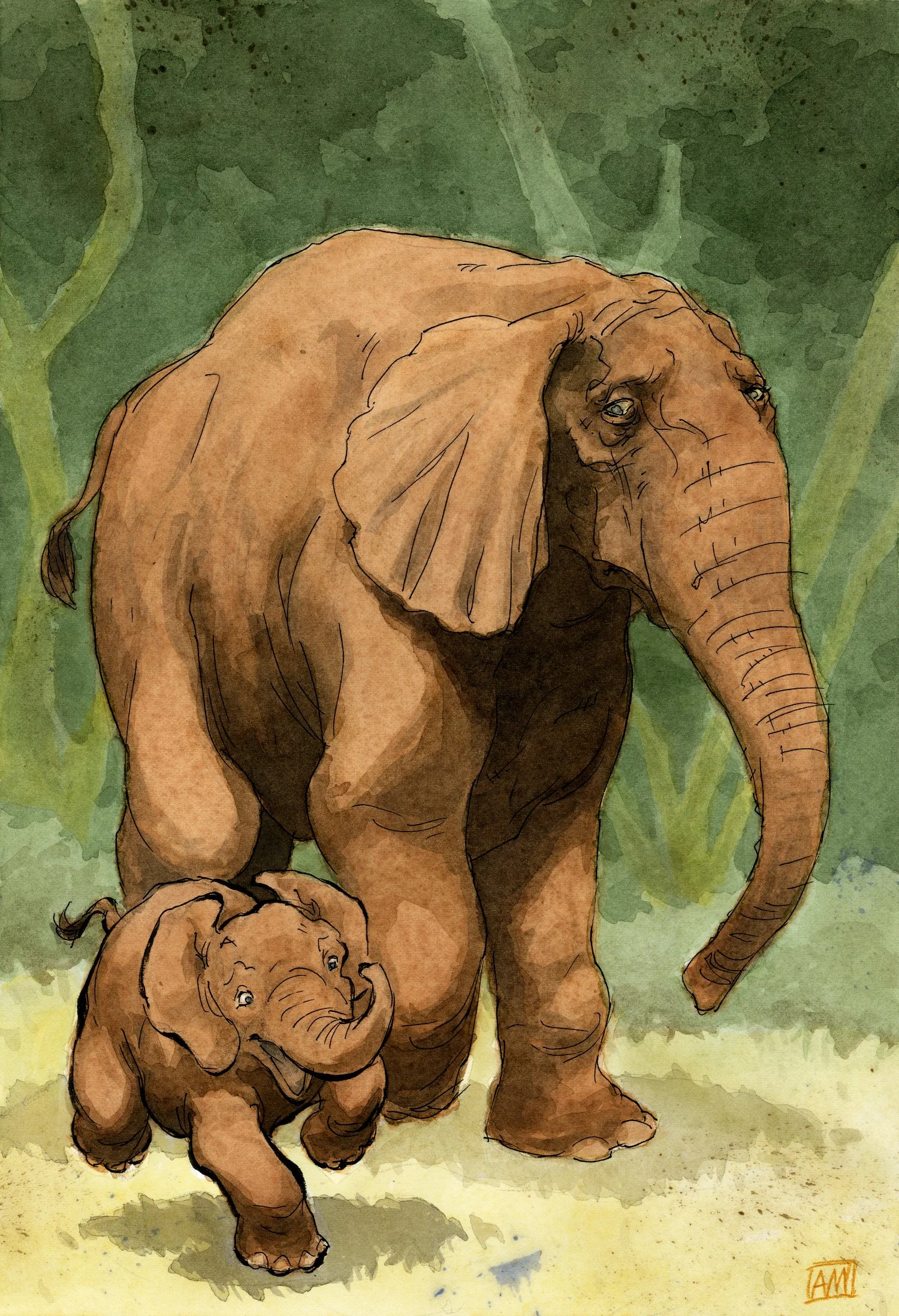 Elephants
