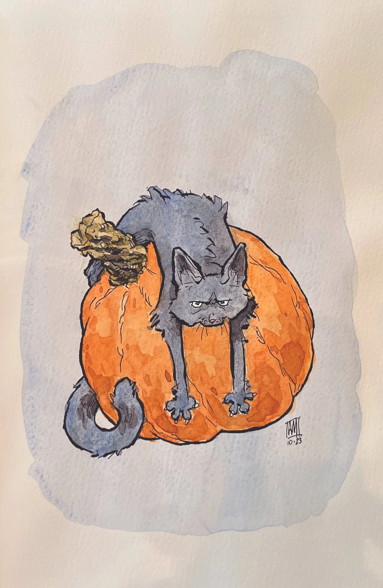 Halloween Cat