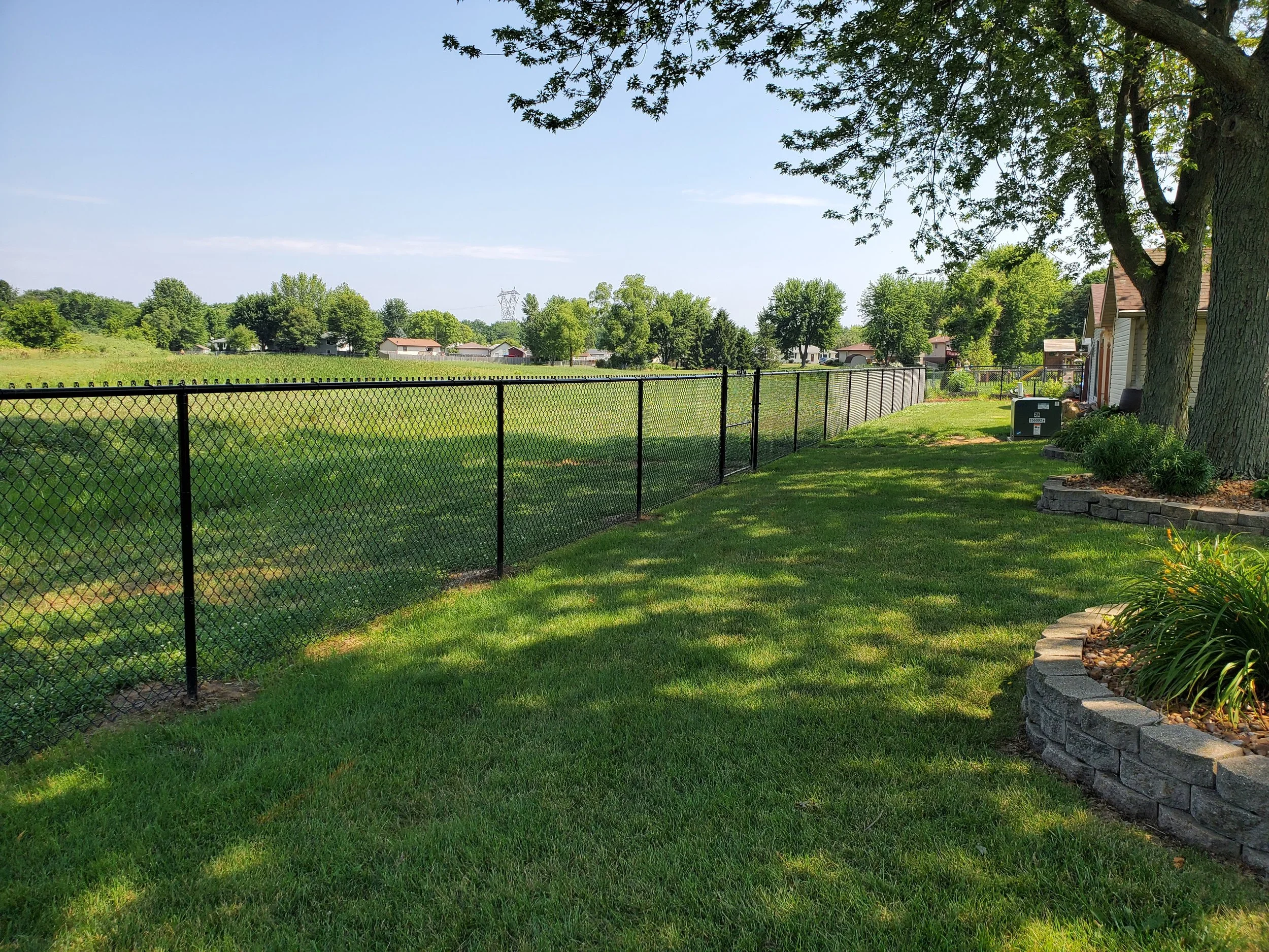 A backyard with a green lawn, a black metal fence, several trees, and houses in the background under a clear blue sky.