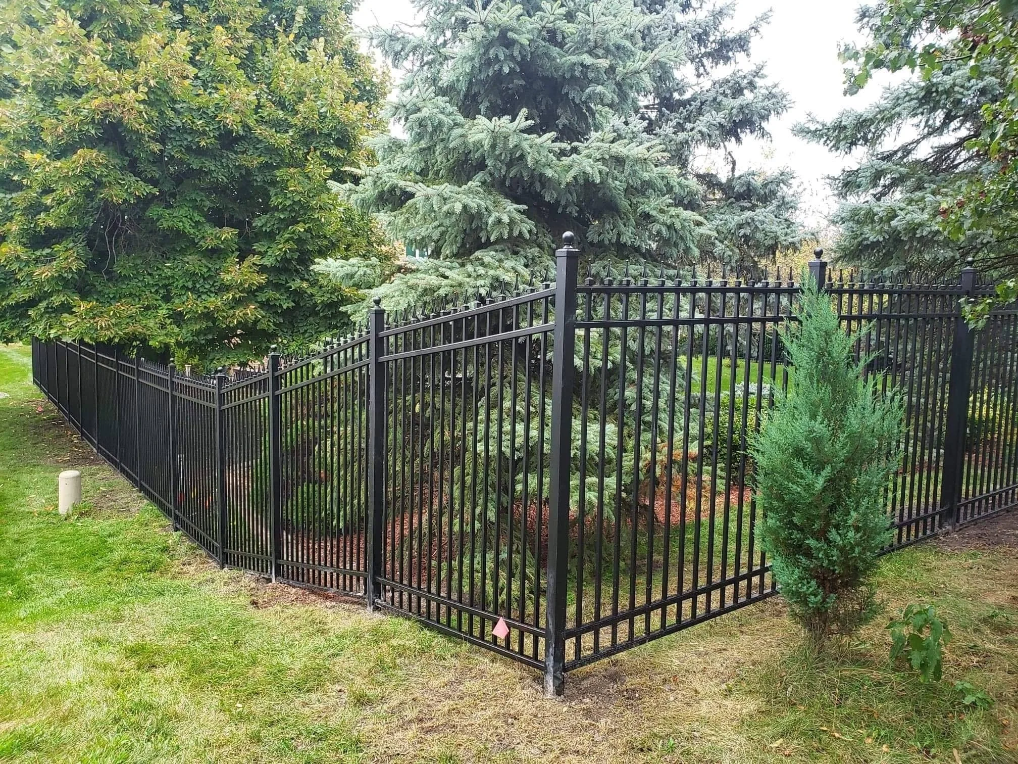 A black metal fence surrounds a garden area with various green trees and bushes. Tall evergreen trees and deciduous trees are visible in the background, with some branches extending over the fence.