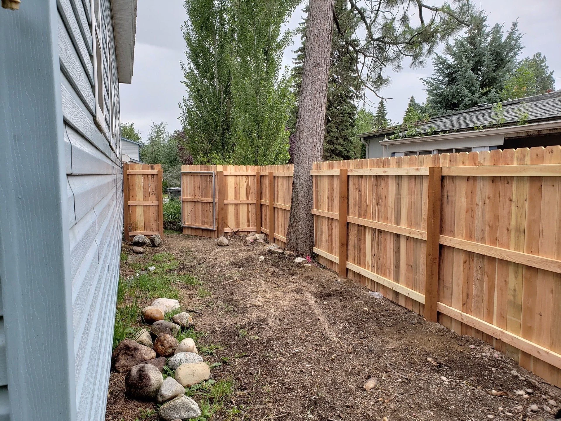 A backyard with a freshly built wooden fence, a large tree, and neighboring houses with trees and cloudy sky in the background.