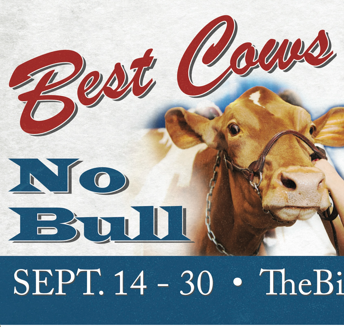 Advertisement for a livestock event with a photo of a cow and event details. The text reads 'Best Cows No Bull' with dates 'September 14-30' at The.Bi.