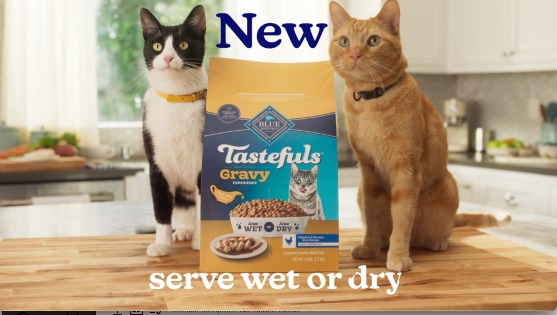 Two cats, one black and white and the other orange, sit on a kitchen counter next to a bag of Blue Buffalo Tastefuls cat food, with a bowl of wet or dry cat food and a plate of chicken and brown rice meal in the background.