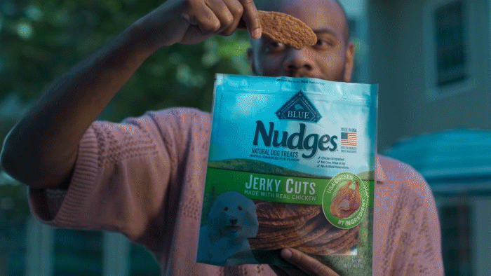 A person holding a bag of Blue Nudges Jerky Cuts treats and a dog treat in front of their face outdoors.