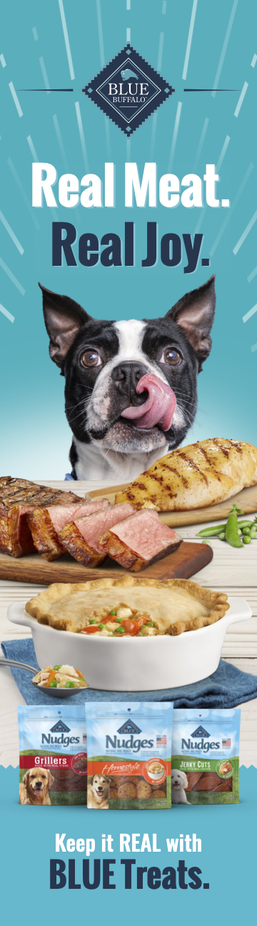 A boston terrier licks his lips. In front of him on the counter we see a chicken pot pie and a cutting board with sliced steak, carrots and peas on it. Plus a second cutting board with grilled chicken. At the bottom are three bags of dog treats.