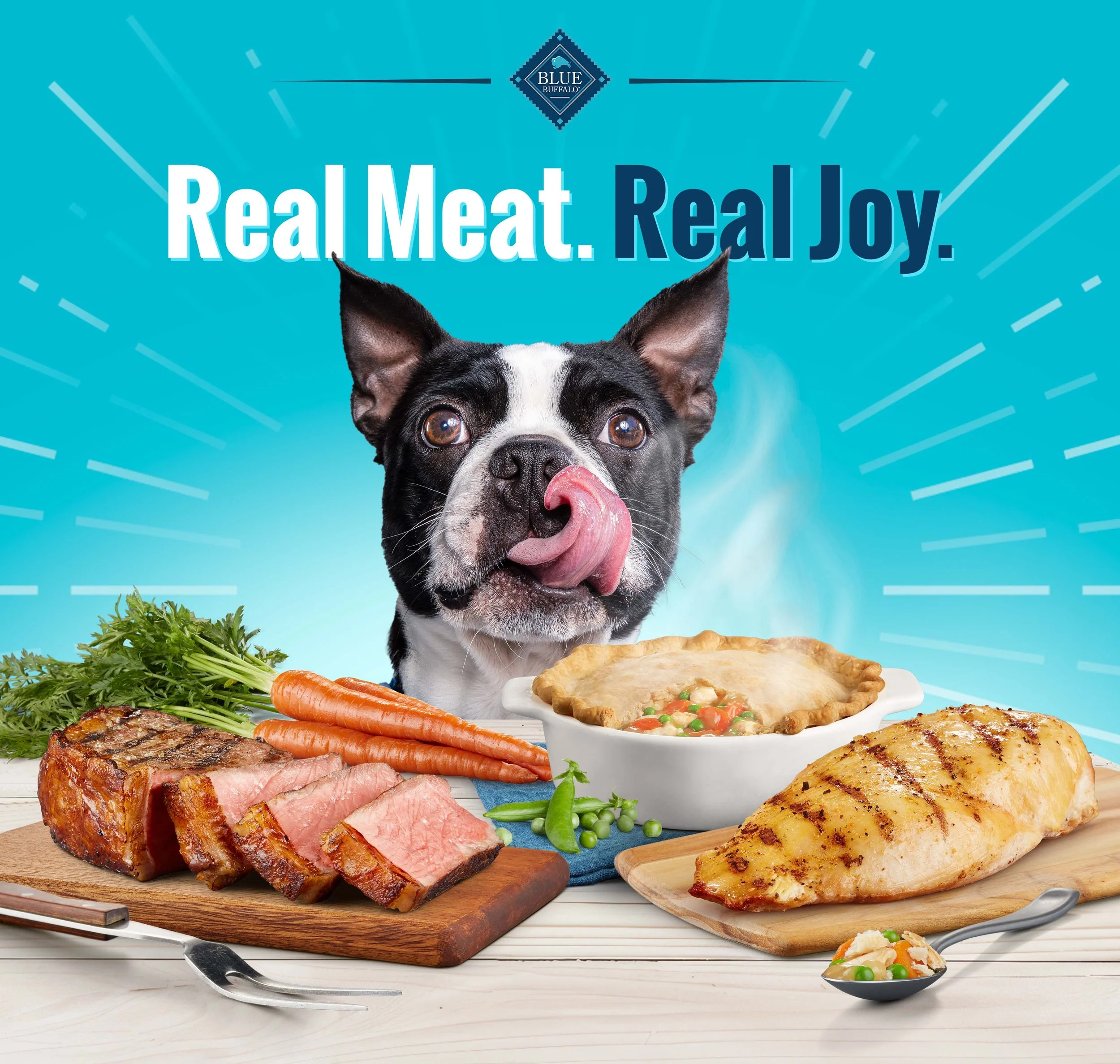 A boston terrier licks his lips. In front of him on the counter we see a chicken pot pie and a cutting board with sliced steak, carrots and peas on it. We see a second cutting board with grilled chicken on top.