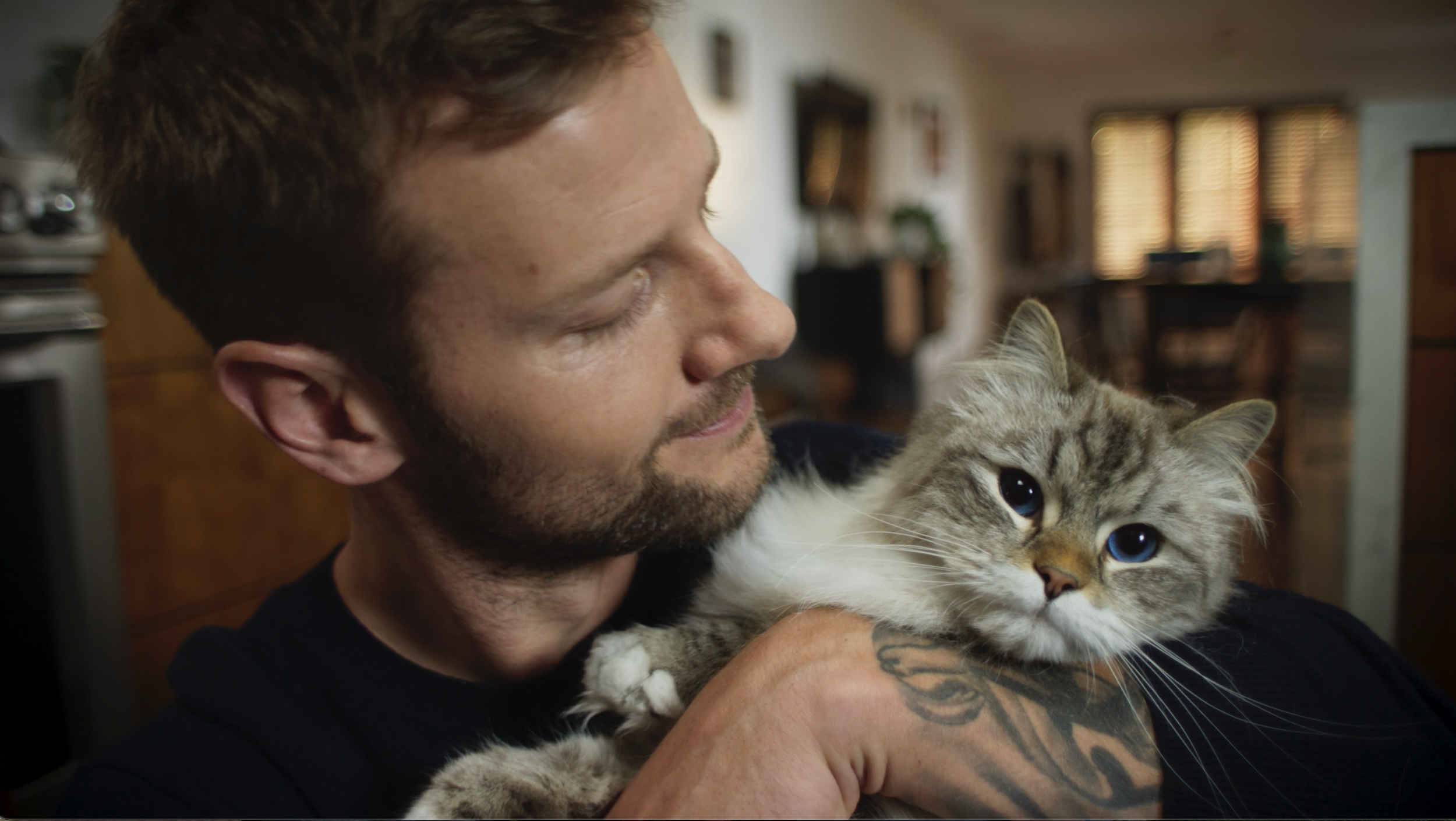 Man snuggling his cat over his shoulder