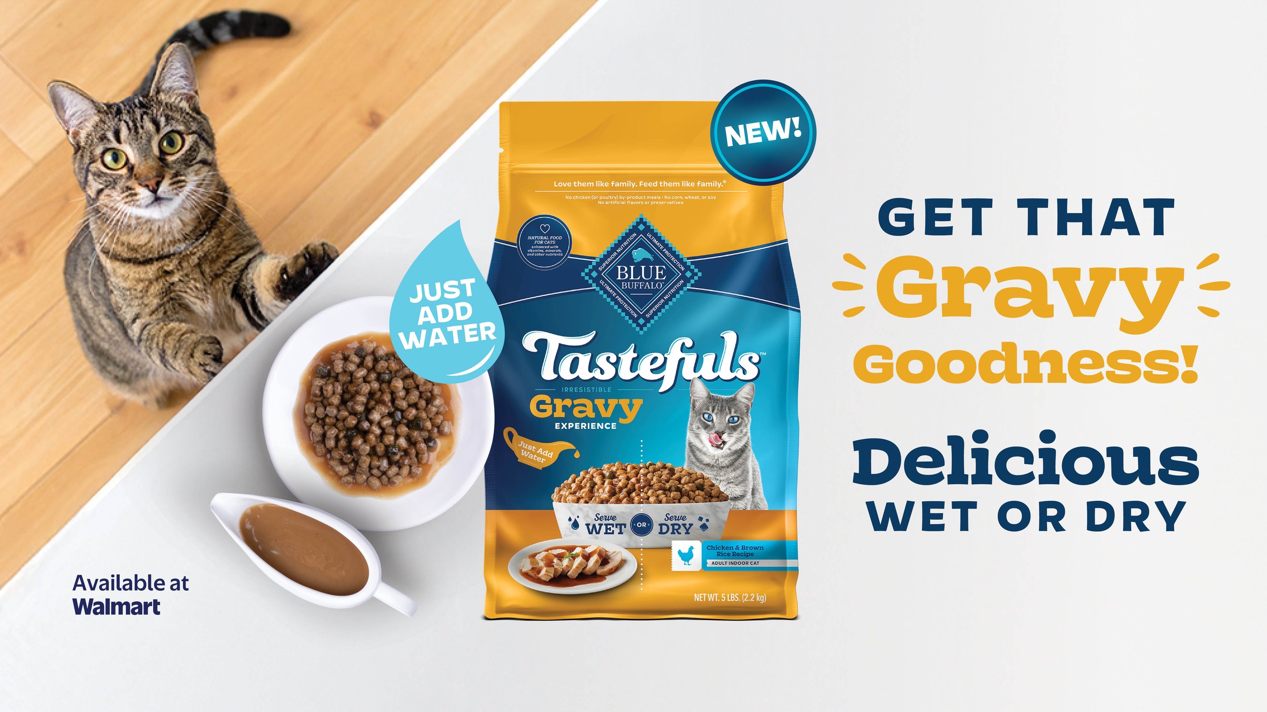 A cat paws at the counter and looks directly at the camera. A bowl of cat food with rich gravy around it sits on the counter.