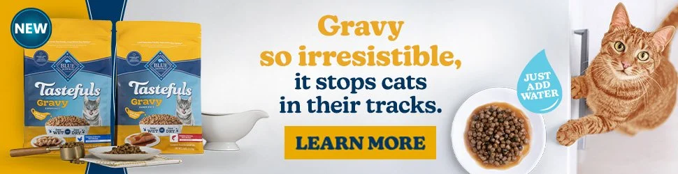 On the left we see two bags of Tastefuls Gravy cat food with a gravy boat next to it. On the right we see a cat looking up at the camera as he stands next to the counter with a bowl of gravy-laden cat food on top.