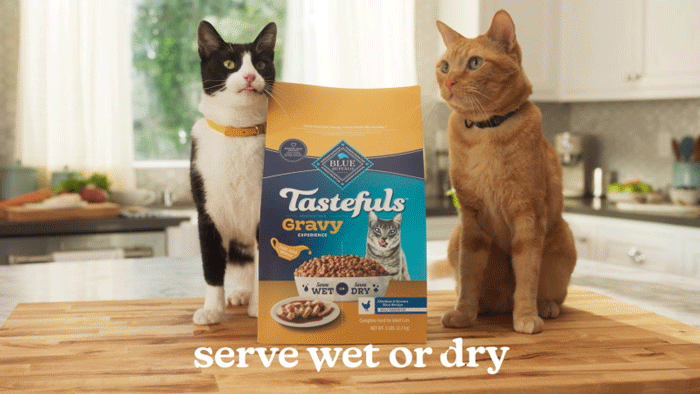 Two cats sitting on a kitchen counter next to a bag of Blue Buffalo Tastefuls Gravy cat food, with text reading 'serve wet or dry'.