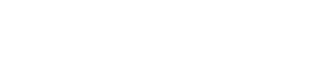Star logo with a buck knife in the center, followed by the text 'BIDWRANGLER' in bold uppercase letters.