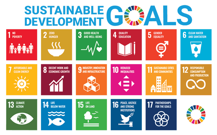 The Sustainable Development Goals