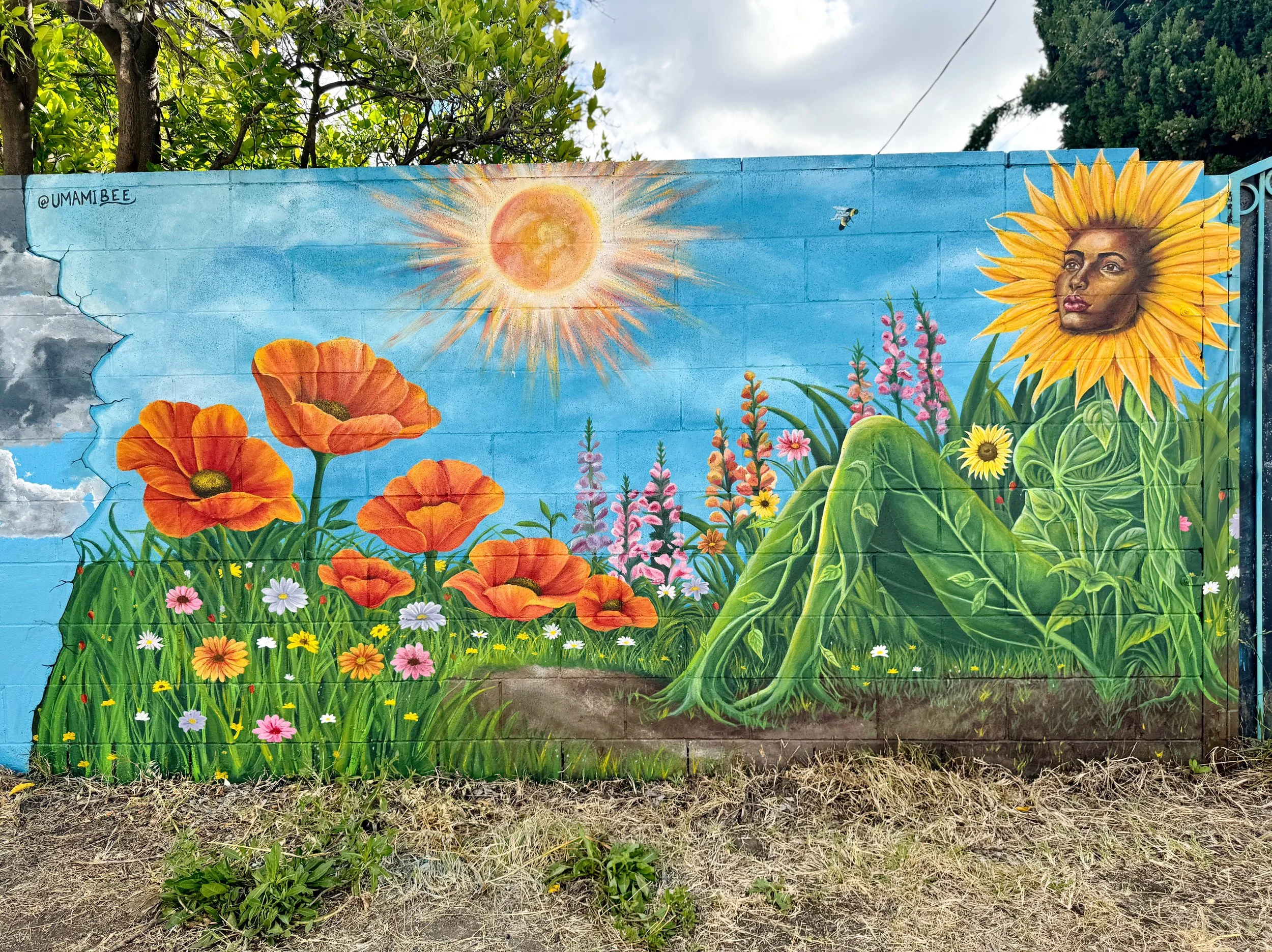 Field of Dreams - Venice Mural